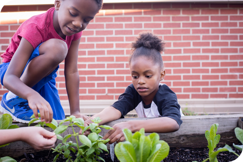 safe routes to healthy food safe routes to healthy food
